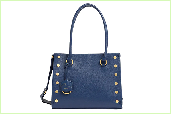 Hammitt Allen Lrg.jpg