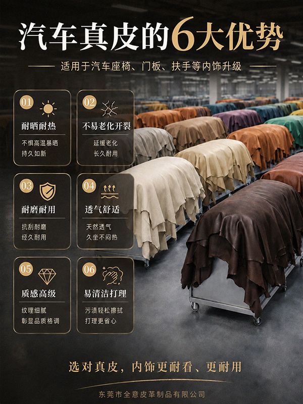 汽车207.jpg